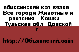 абиссинский кот вязка - Все города Животные и растения » Кошки   . Тульская обл.,Донской г.